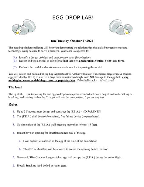 Egg Drop Questions And Answers