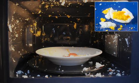 Egg Exploded in Microwave