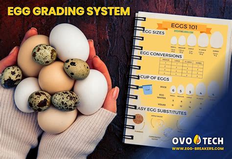 egg grading in the philippines