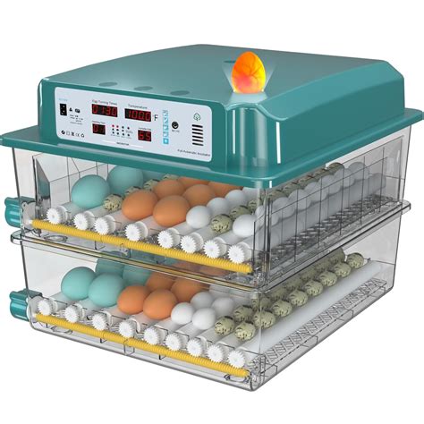 Egg Incubator Inventor