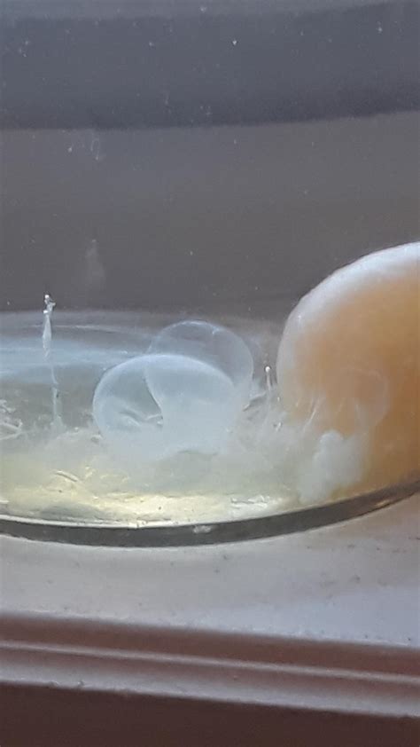 Egg is starting to bubble