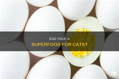 Egg Meal For Cats