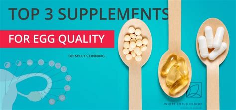 Egg Quality Diet Supplements