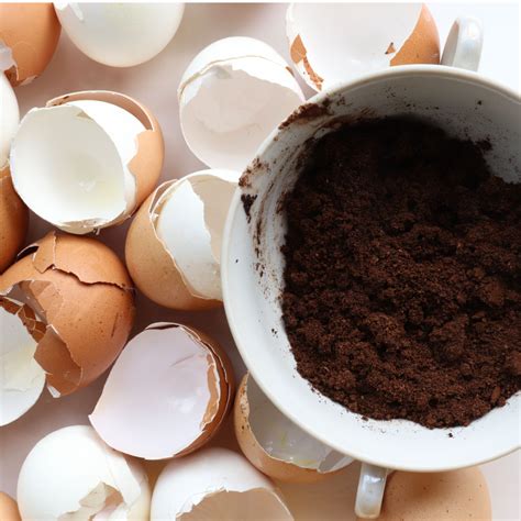 egg shells in coffee