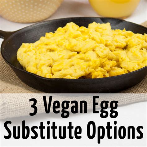 Egg Substitute Are Vegan
