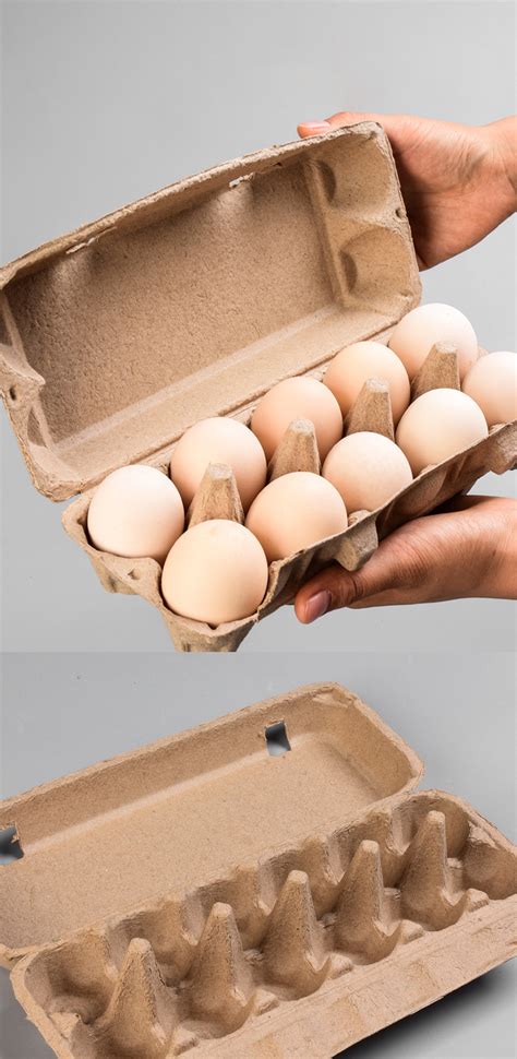 Egg Tray Carton Packaging