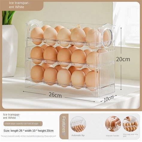 Egg Tray Layer
