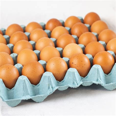 Egg Tray Online