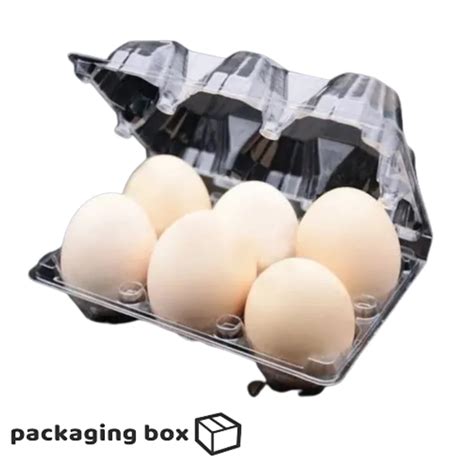 Egg Tray Transparent Plastic