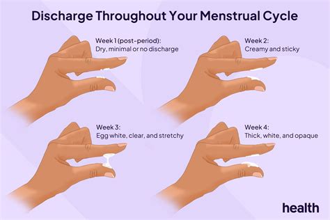 Egg White Discharge Mumsnet