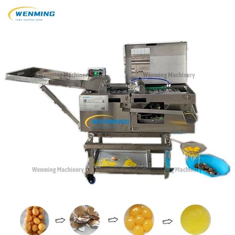 Egg White Separator Machine India