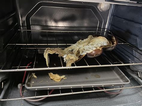 Eggplant Exploded In Oven