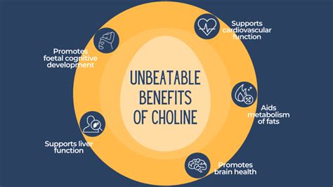 Eggs Choline Benefits