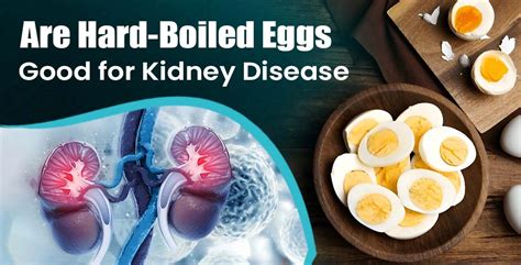 Eggs Kidney Disease