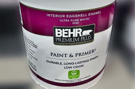 Eggshell Paint Finish Problems