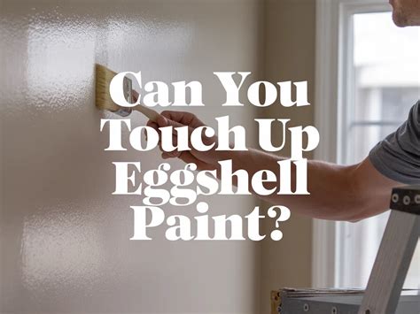 Eggshell Paint Touch Up