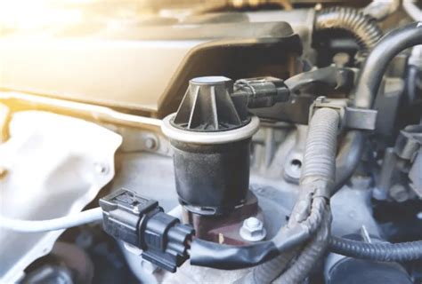 Egr Delete On Petrol Engine