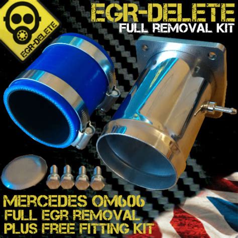 Egr Delete Z31
