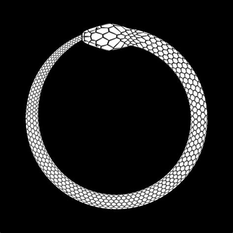 Snake Symbol Text Copy canvascafe