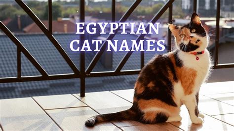 Egyptian Cat Names and Their Meanings