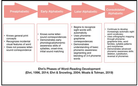 Ehri Phases Of Reading