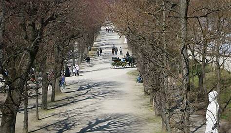 Ein Sonntagnachmittag im Park Schönbrunn, Wien | A Sunday af… | Flickr