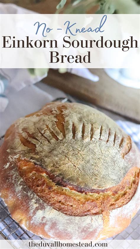 Einkorn Peasant Bread