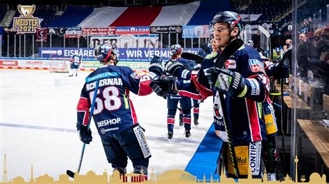 eisbaeren berlin news