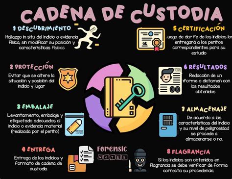 ejemplos cadena de custodia