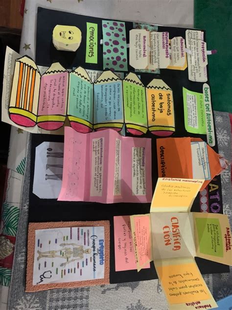 Foldables Caderno interativo, Cadernos interativos, Atividade para