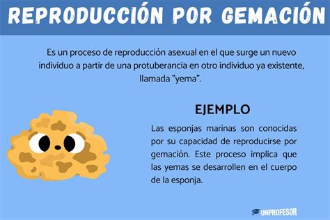 La Gemación YouTube