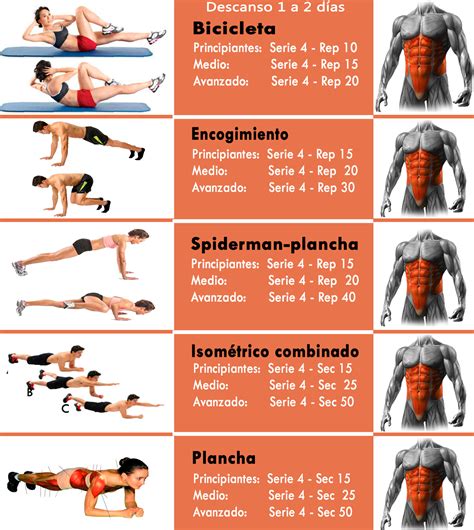 ejercicios de gym para abdomen