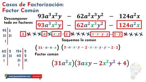 MATEMÁTICA PASO A PASO EJERCICIOS RESUELTOS FACTORIZACIÓN FACTOR COMÚN