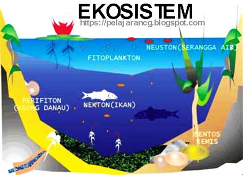 Ekosistem Laut Singapura
