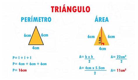 kompakt másolat Ötödik como sacar el area y perimetro de un triangulo