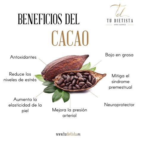 el cacao es bueno para la salud