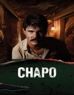 el chapo serie online gratis