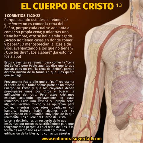 el cuerpo de cristo biblia