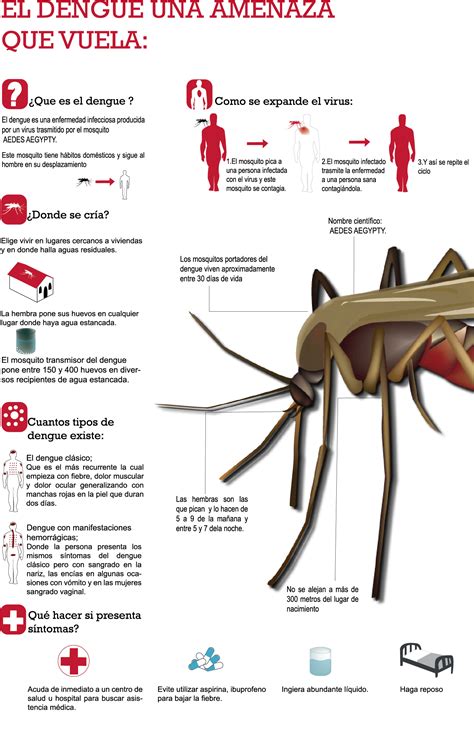 el dengue en mexico