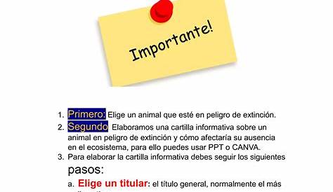 CARTILLA INFORMATIVA by Ana Rocio... - Flipsnack