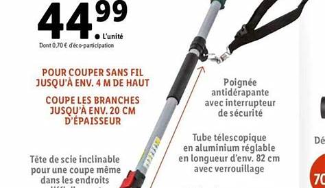 Elagueuse Batterie Lidl Élagueuse Sur Perche Sans Fil 20 V — France