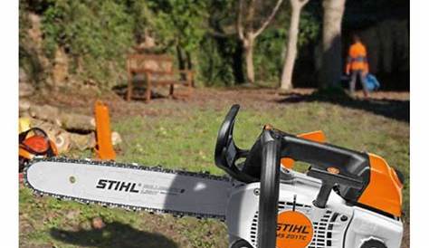 Elagueuse Thermique Stihl Pas Cher Tronconneuse D’occasion