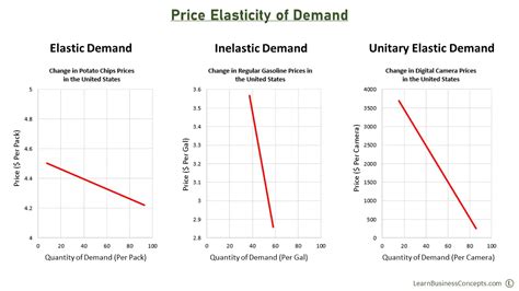 Elastic And Inelastic