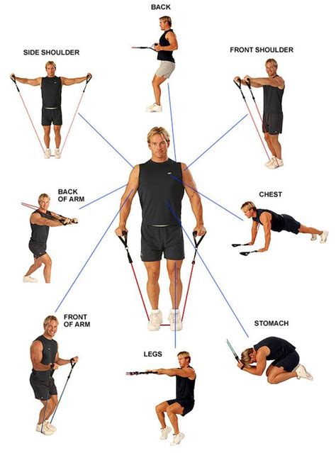 Elastic Cord Exercises