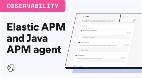 Elasticsearch Apm Java Agent