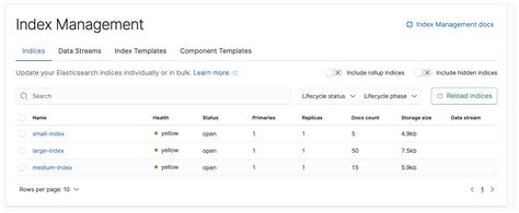 Elasticsearch Filter Index Name