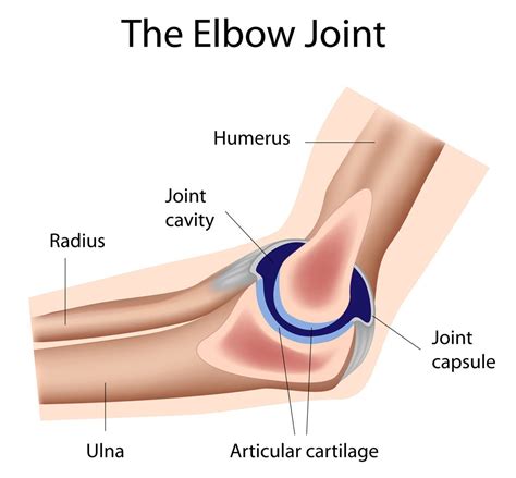 Elbow Joint Disorders