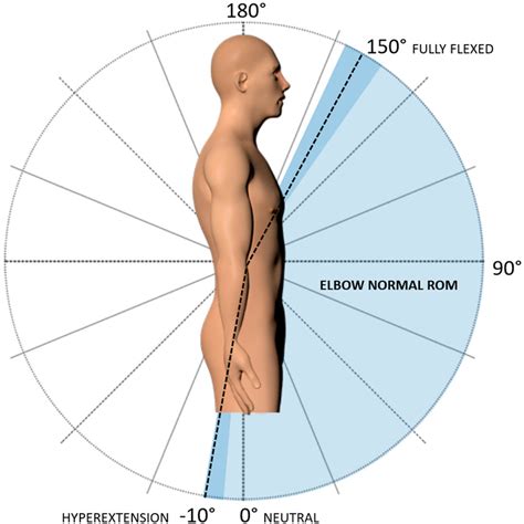 Understanding Elbow Range of Motion: A Comprehensive Guide