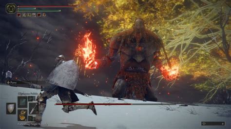 Elden Ring Fire Status Effect