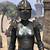 elder scrolls online lion guard knight costume